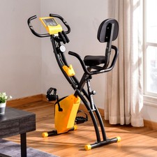 2-in-1 Folding Exercise Bike